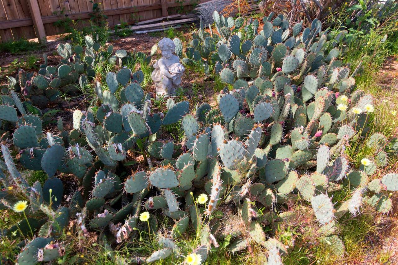 Cactus Adobe Villa ทเวนตีไนน์พาล์มส์ ภายนอก รูปภาพ